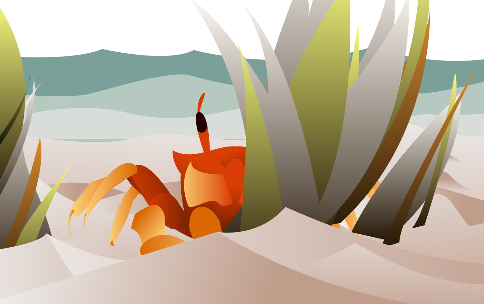 Crab in beach motion graphic artwork preview